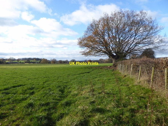Photo 6"x4" Farmland at The Hundred Hundre c2017