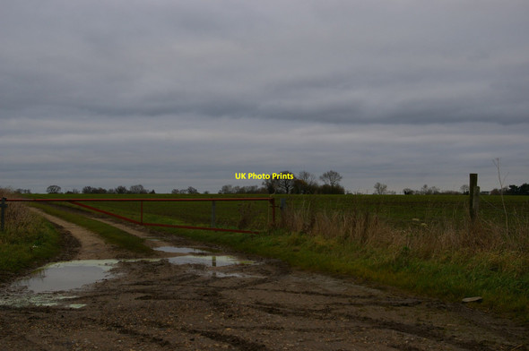 Photo 6"x4" Track running north off the B1119 Saxmundham c2017