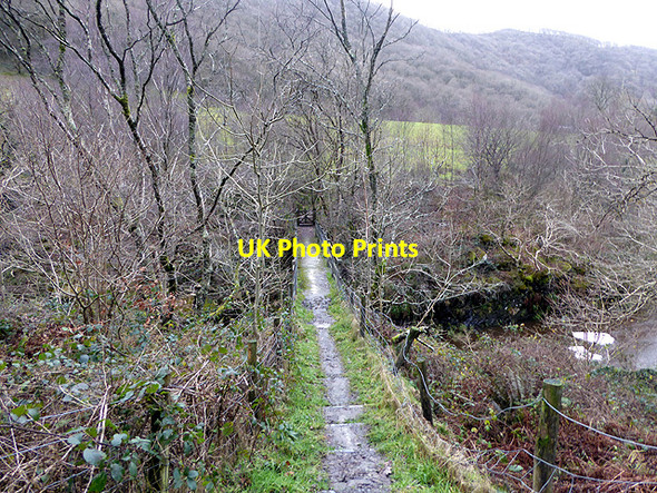Photo 6"x4" Footbridge across Afon Rheidol Ystumtuen c2017
