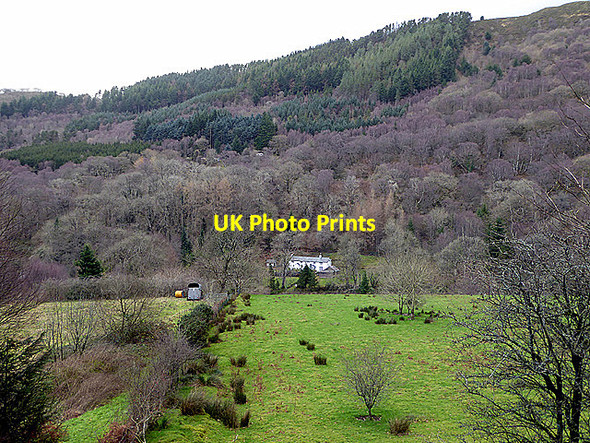 Photo 6"x4" Pasture and house, Cwm Rheidol Ystumtuen c2017
