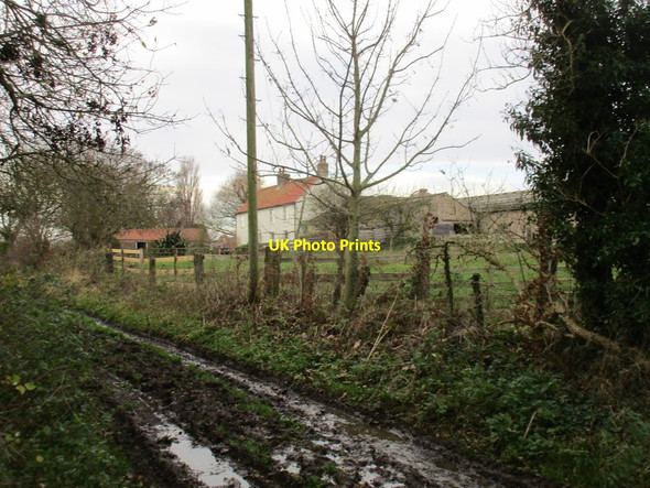 Photo 6"x4" Common Farm and Nicholson Lane Seaton\/TA1646 c2017