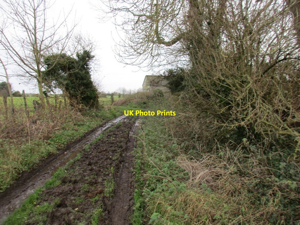 Photo 6"x4" Nicholson Lane Seaton\/TA1646 c2017