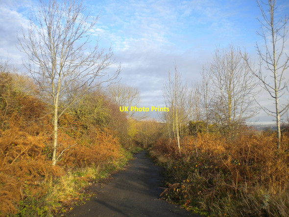 Photo 6"x4" Lane to Oxton Road, Calverton Calverton\/SK6149 c2017