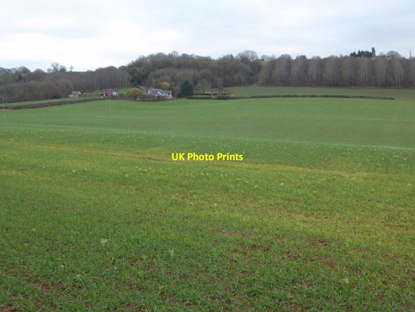 Photo 6"x4" Farmland near Raddle Bank Farm Berrington Green c2017