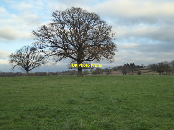 Photo 6"x4" Farmland near Greete Greete c2017