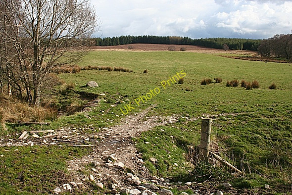 Photo 6"x4" Near Aultahurn Torwinny c2009