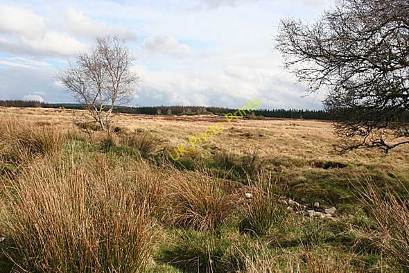 Photo 6"x4" Near Aultahurn Torwinny c2009 P1