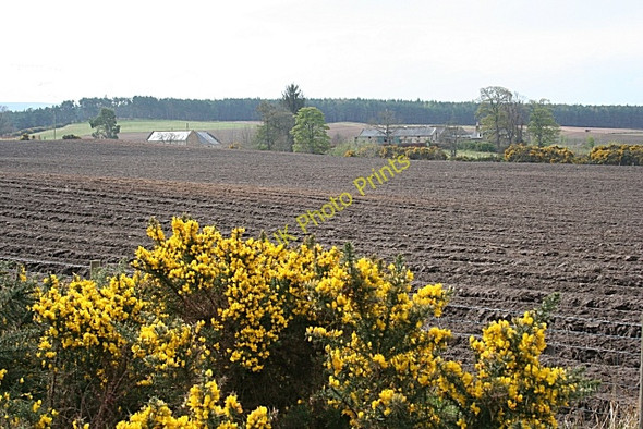 Photo 6"x4" Burnside of Birnie New Elgin c2009