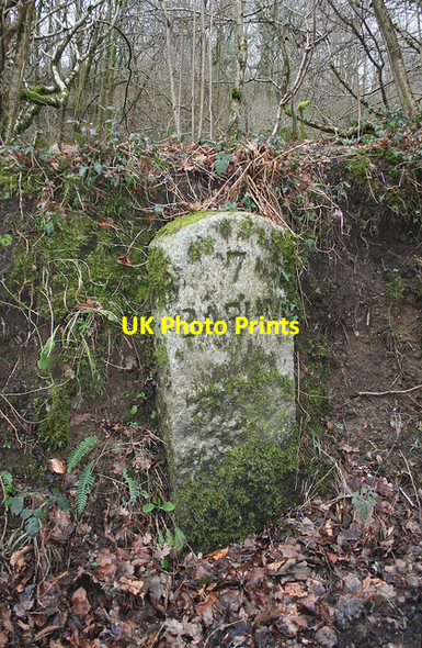 Photo 6"x4" Old Milestone south of Stowford Cross Stowford\/SS6226 c2012