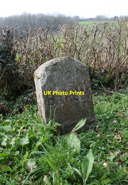 Photo 6"x4" Old Milestone south of Chittlehamholt Chittlehamholt c2012