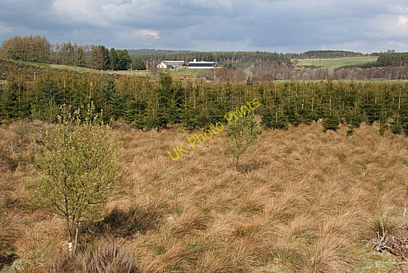 Photo 6"x4" Looking Towards Craigroy Dallas c2009