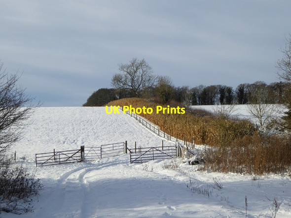 Photo 6"x4" Path to Hornton Grounds Farm Hornton c2017