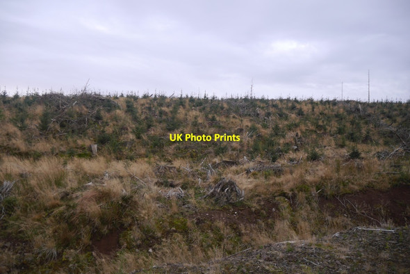 Photo 6"x4" Warroch Hill Carnbo c2017