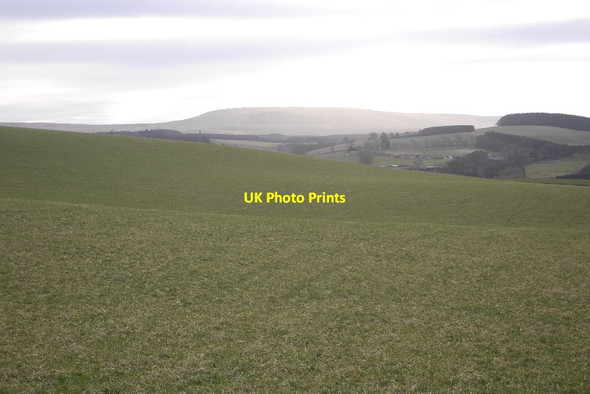 Photo 6"x4" Field above the Jed Water Dolphinston c2017