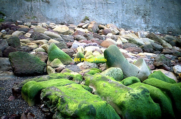 Photo 6"x4" Saltwick Bay rocks Whitby\/NZ8910 c2002
