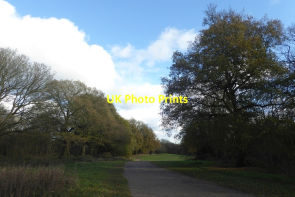 Photo 6"x4" Cycle path on the heath Hampstead\/TQ2685 c2017