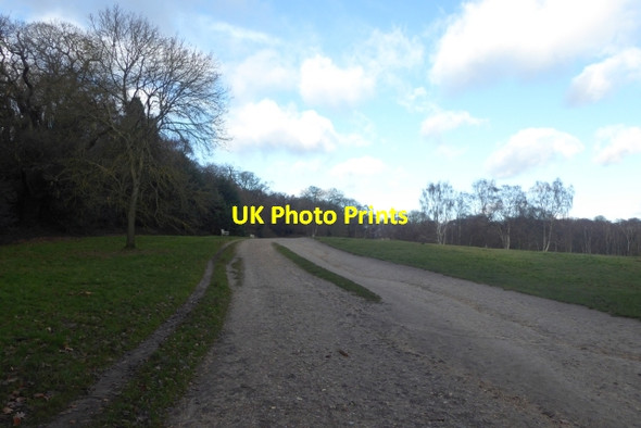 Photo 6"x4" Track towards Kenwood House Hampstead\/TQ2685 c2017