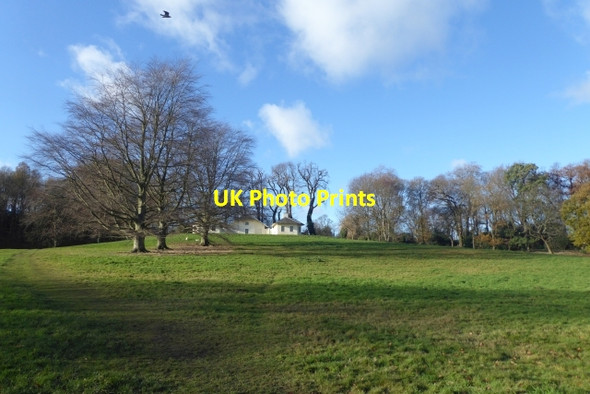 Photo 6"x4" Parkland near the dairy Hampstead\/TQ2685 c2017