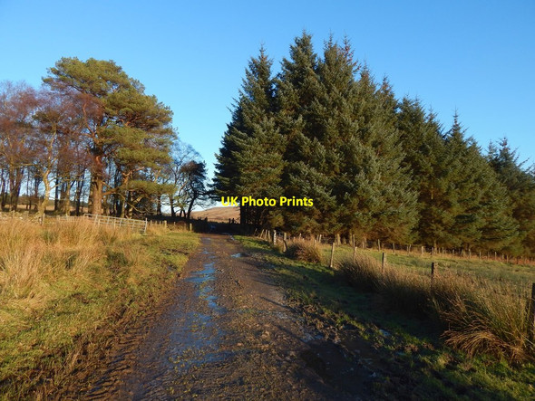 Photo 6"x4" Farm track at Highdykes Alexandria c2017 P1