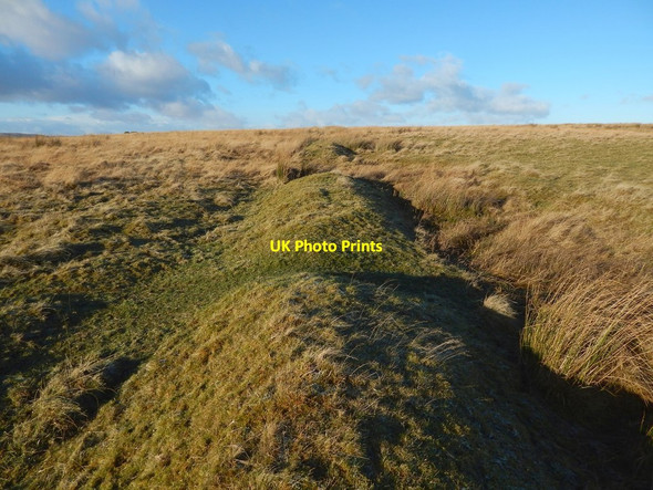 Photo 6"x4" Old boundary Bonhill c2017