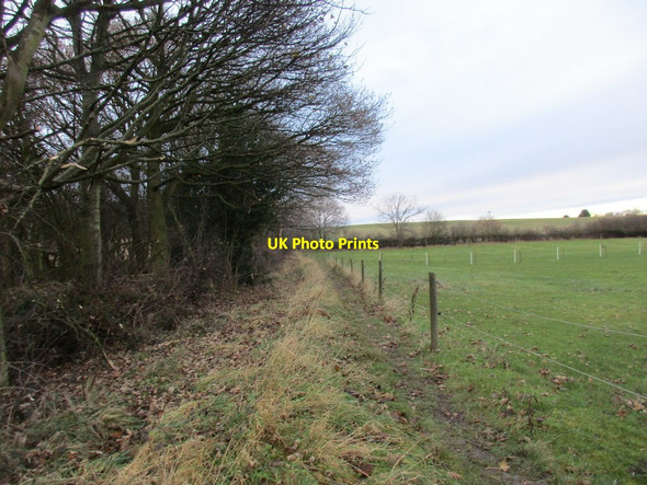 Photo 6"x4" Footpath to Hoober Stand Cortworth c2017
