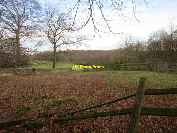 Photo 6"x4" The Deer Shed, Wentworth Park Cortworth c2017