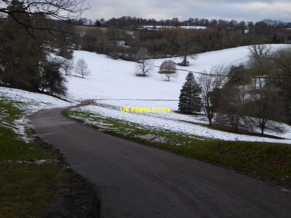 Photo 6"x4" Road in parkland at Brockhampton Bringsty Common c2017