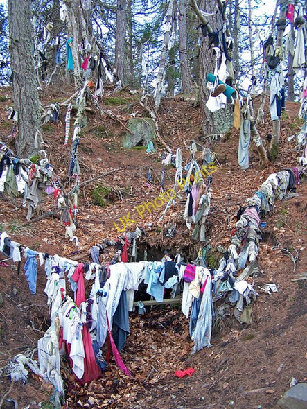 Photo 6"x4" The Clootie Well Munlochy c2009