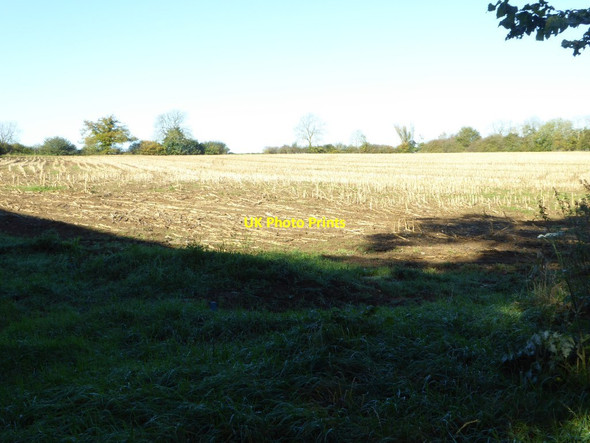 Photo 6"x4" Farmland neaer Radclive Buckingham c2017