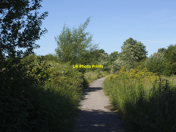 Photo 6"x4" Calder Valley Greenway east of Church Lane Mirfield c2017