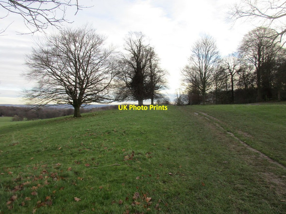 Photo 6"x4" Footpath through the Deer Park, Wentworth Woodhouse Cortworth c2017