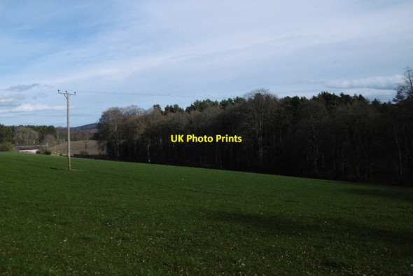 Photo 6"x4" Field, Park Drumoak c2017