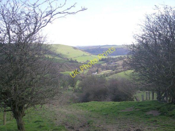 Photo 6"x4" Little Selley from the north Upper Treverward c2009