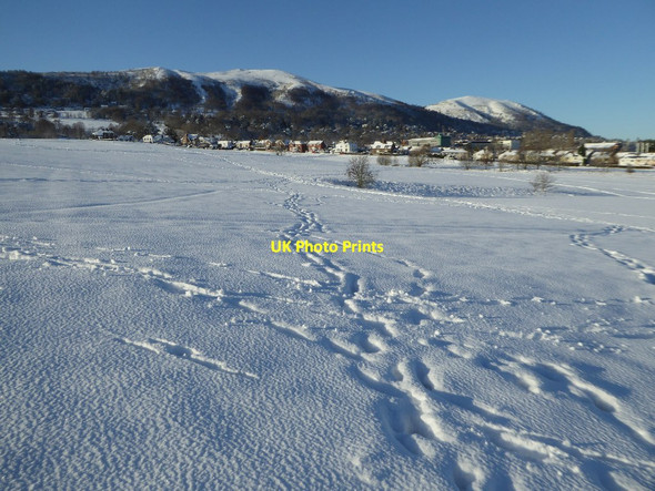 Photo 6"x4" Snow cover Malvern Common Great Malvern c2017