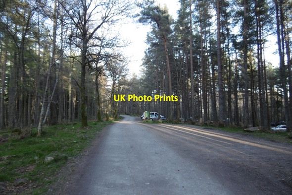 Photo 6"x4" Forestry Commission car park, Scolty Banchory\/NO6995 c2017