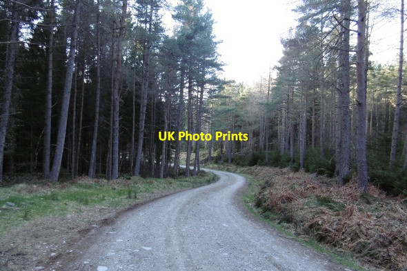 Photo 6"x4" Road, Scolty Banchory\/NO6995 c2017