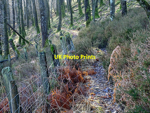 Photo 6"x4" Diverted path beside the railway Devil's Bridge\/Pontarfynach c2017