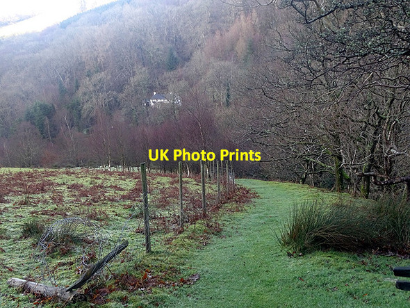 Photo 6"x4" Path in Cwm Rheidol Ystumtuen c2017