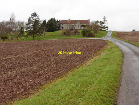 Photo 6"x4" Road to Hurcot Somerton\/ST4828 c2017