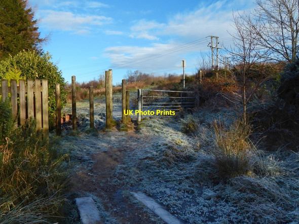 Photo 6"x4" Entering Pappert Well Community Woodland Alexandria c2017 P1