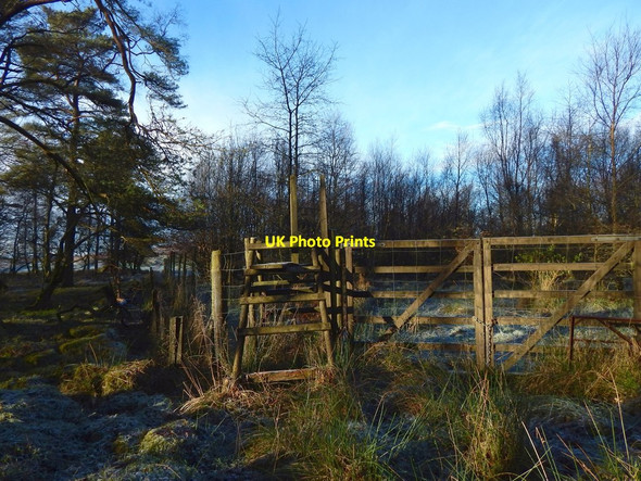 Photo 6"x4" Stile over a deer fence Alexandria c2017
