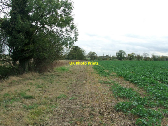 Photo 6"x4" Field Boundary Cornish Hall End c2017