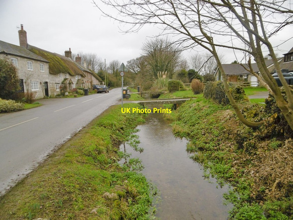 Photo 6"x4" Winterborne St Martin, River South Winterborne Martinstown or Winterbourne St Martin c2017