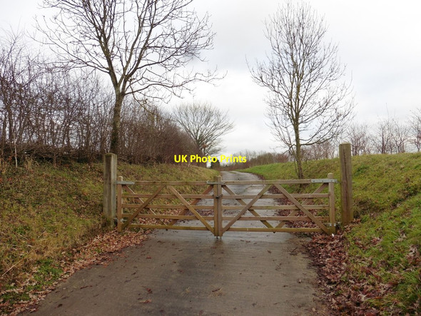 Photo 6"x4" Rear entrance, Lytes Cary Cary Fitzpaine c2017