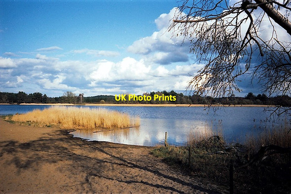 Photo 6"x4" Frensham Little Pond Frensham c1993