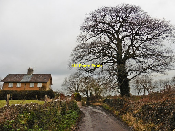 Photo 6"x4" Rag Lane Cary Fitzpaine c2017