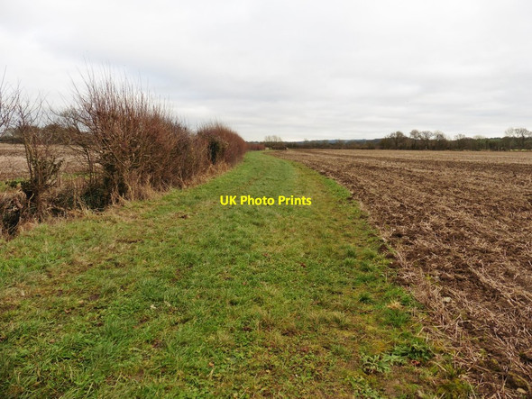 Photo 6"x4" Eastmead Lane Cary Fitzpaine c2017