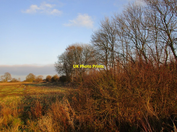 Photo 6"x4" Alongside the railway Bleasby\/SK7149 c2017