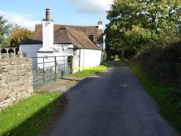 Photo 6"x4" Stokes Lane, Bushley Tewkesbury c2017