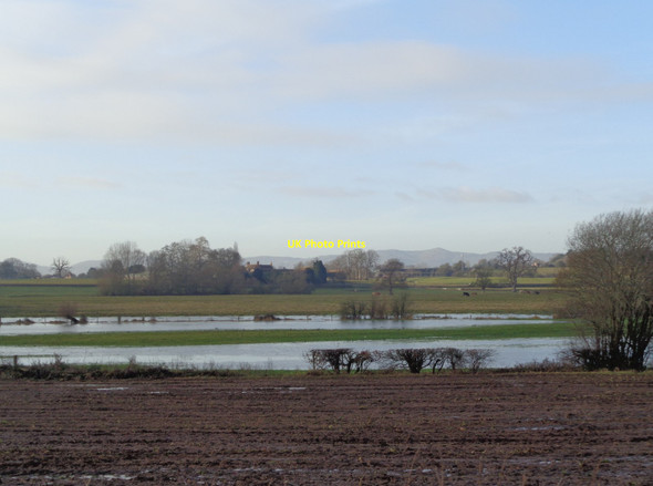 Photo 6"x4" Southend Farm viewed over flooded fields Upper Ham\/SO8539 c2017